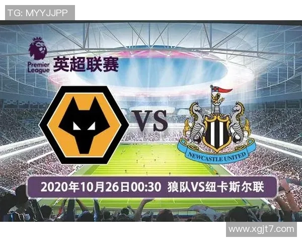 狼队与诺维奇对决前瞻分析及比赛结果预测