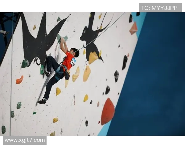 南京攀岩队的成功运营模式与发展策略深度解析 南京攀岩队的成功运营模式与发展策略深度解析